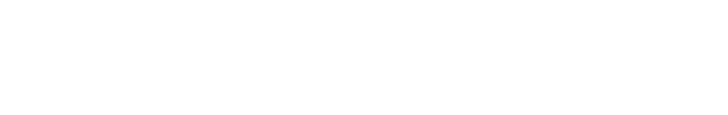 Toro Solutions Logo